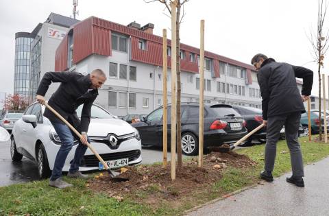 Skupina Elektro Gorenjska in Mestna občina Kranj z novim drevoredom krepita trajnostno preobrazbo mesta Kranj